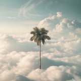 Dream Oasis (Outlet) Walldecoration Wandkraft