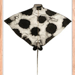 Eagle Ray (Outlet) Walldecoration Wandkraft
