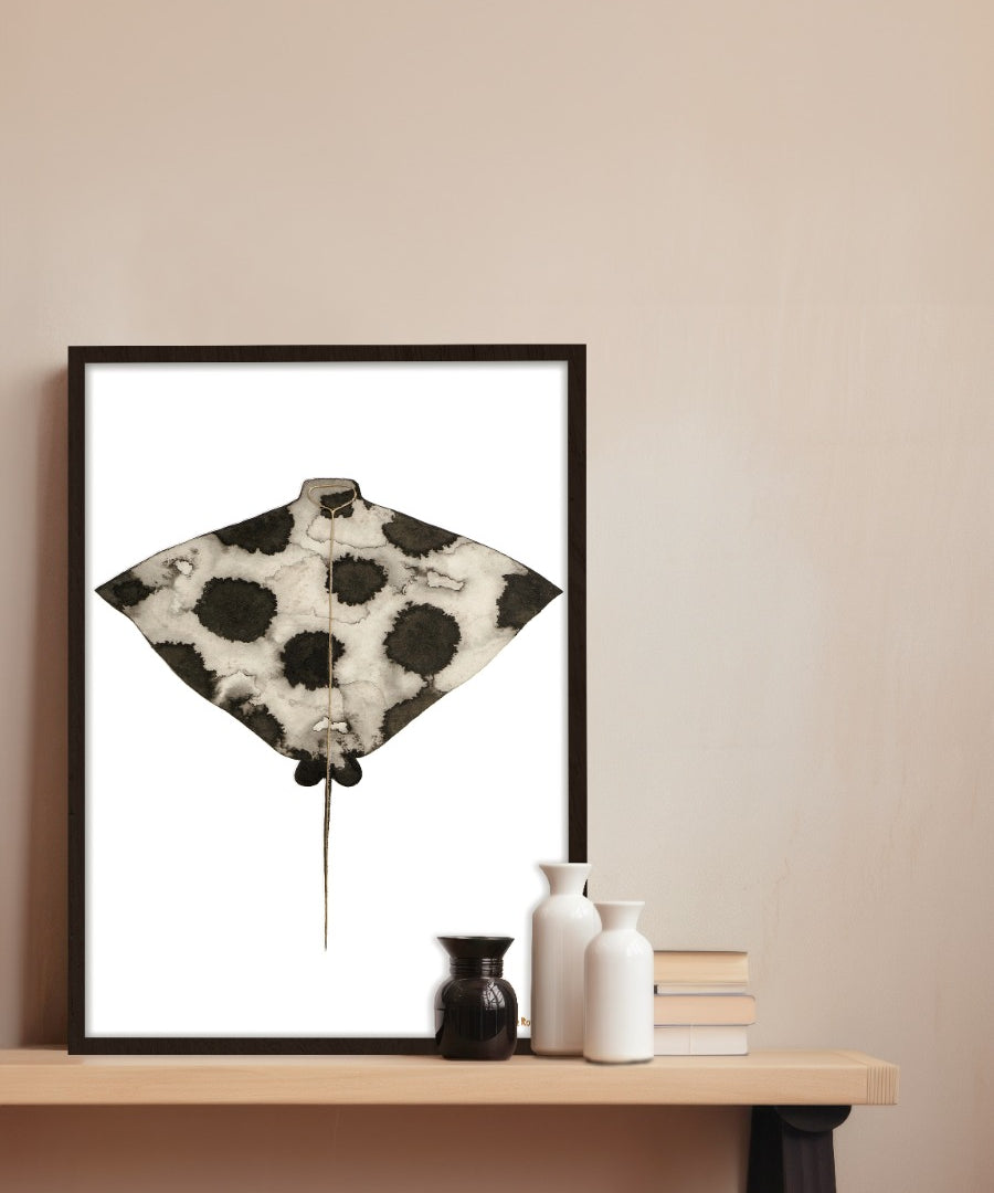Eagle Ray (Outlet) Walldecoration Wandkraft