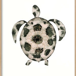 Mr. Turtle (Outlet) Walldecoration Wandkraft