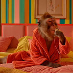 Monkey's Cozy Retreat (Outlet) Walldecoration Wandkraft 70x118 cm