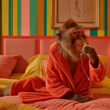 Monkey's Cozy Retreat (Outlet) Walldecoration Wandkraft 70x118 cm