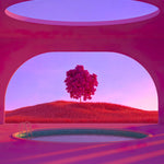 Magenta Fever 008 Walldecoration Wandkraft 70x118 cm