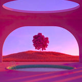 Magenta Fever 008 Walldecoration Wandkraft 70x118 cm