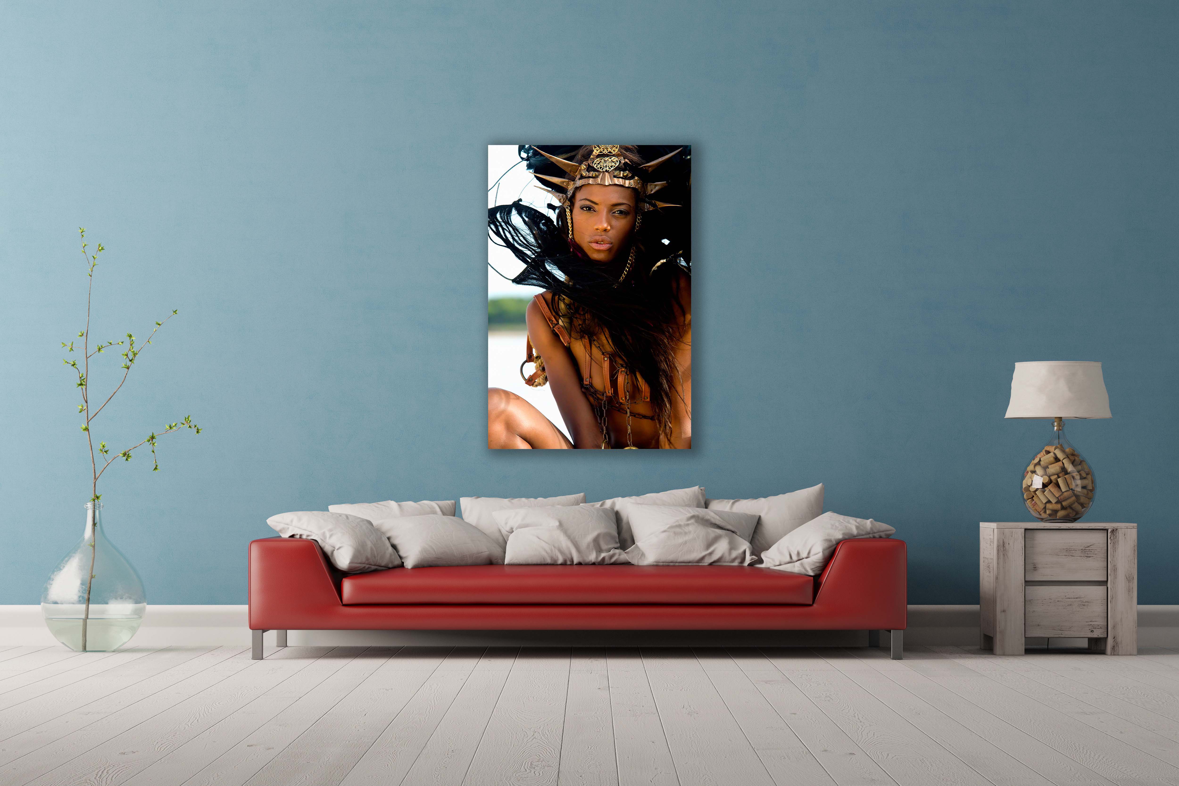 Black Swan II Walldecoration Wandkraft