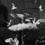 The Ballerina Walldecoration Wandkraft 80x120 cm Aluminiumprofiel