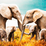 Elephant Family Walldecoration Wandkraft 118x70 cm