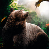 Bear Walldecoration Wandkraft 70x118 cm