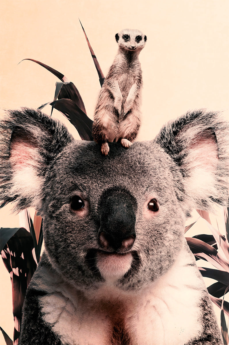 Koala and Meerkat Walldecoration Wandkraft 70x118 cm