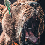 Lioness Walldecoration Wandkraft 70x118 cm