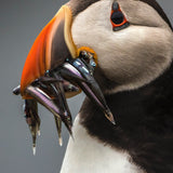 Summer Time 008 Walldecoration Wandkraft 70x118 cm