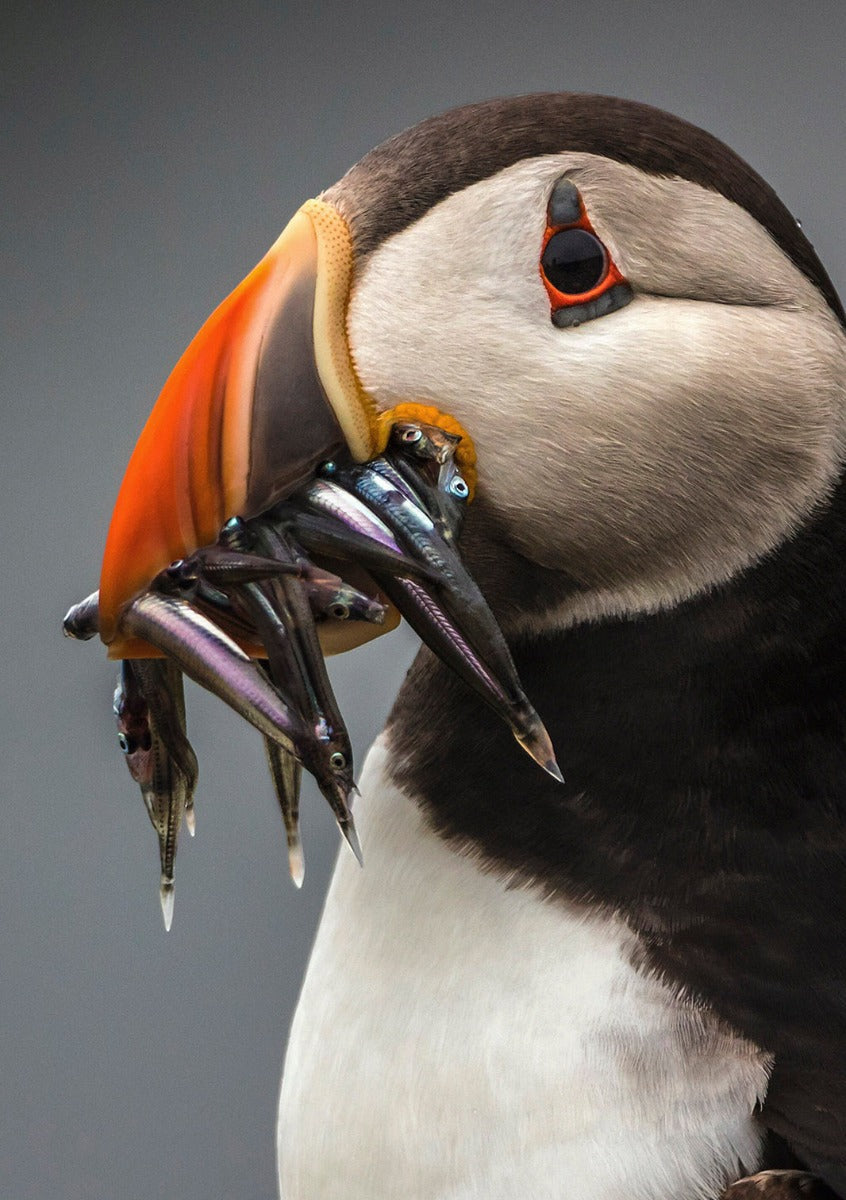 Summer Time 008 Walldecoration Wandkraft