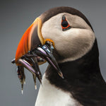 Summer Time 008 Walldecoration Wandkraft 74x74 cm