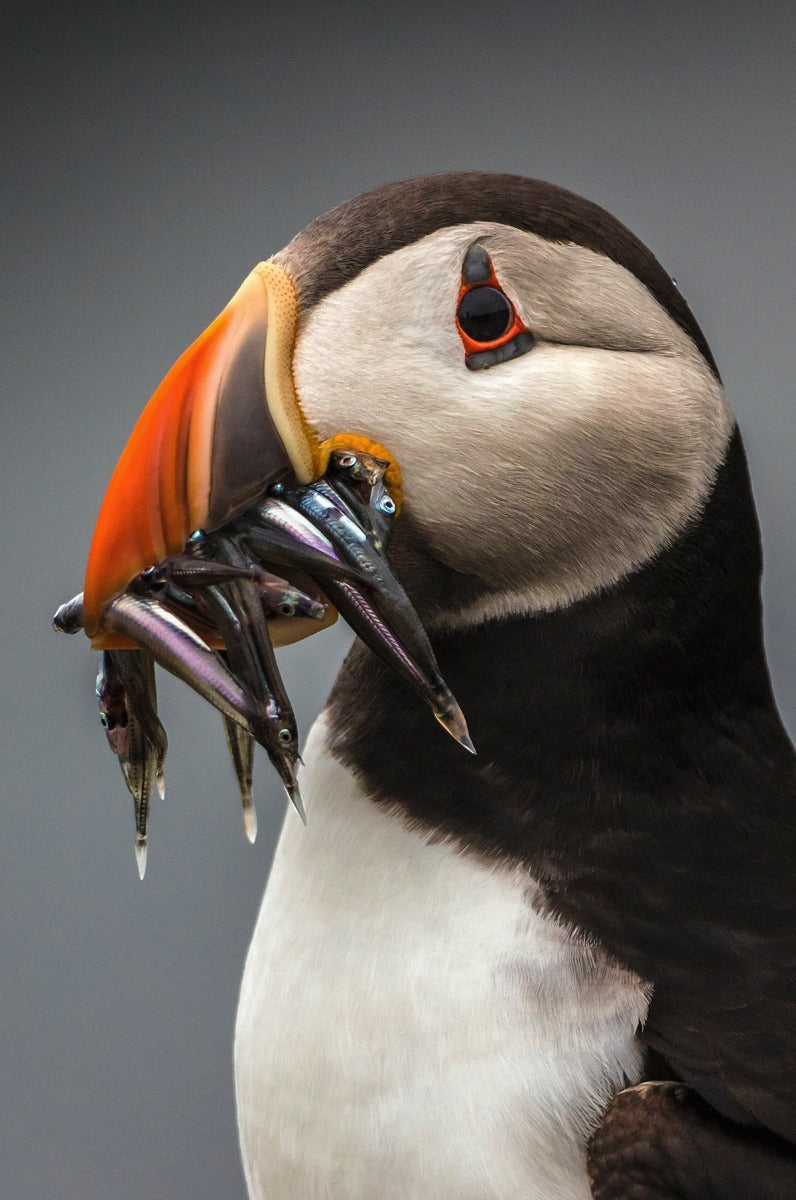 Summer Time 008 Walldecoration Wandkraft