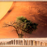 Desert Fury Walldecoration Wandkraft 148x98 cm Baklijst Blank
