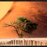 Desert Fury Walldecoration Wandkraft 148x98 cm Baklijst Zwart