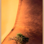Desert Fury Walldecoration Wandkraft 70x118 cm Baklijst Blank