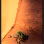 Desert Fury Walldecoration Wandkraft 70x118 cm Baklijst Zwart