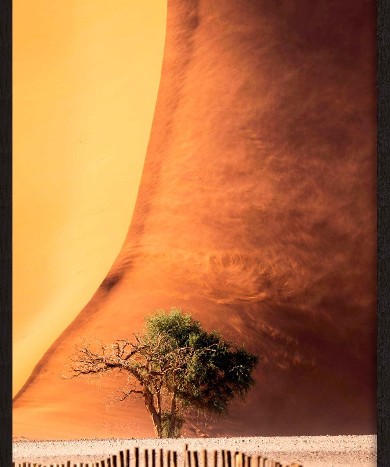Desert Fury Walldecoration Wandkraft 70x118 cm Baklijst Zwart