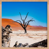 Weathered Tree Walldecoration Wandkraft 74x74 cm Baklijst Blank