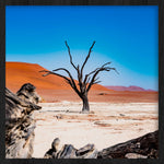 Weathered Tree Walldecoration Wandkraft 74x74 cm Baklijst Zwart