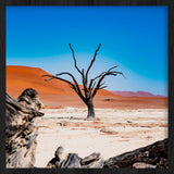 Weathered Tree Walldecoration Wandkraft 74x74 cm Baklijst Zwart