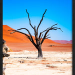 Weathered Tree Walldecoration Wandkraft 70x118 cm Baklijst Zwart