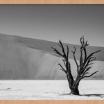 Shadows of Solitude Walldecoration Wandkraft 118x70 cm