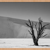 Shadows of Solitude Walldecoration Wandkraft 118x70 cm