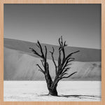 Shadows of Solitude Walldecoration Wandkraft 74x74 cm