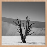 Shadows of Solitude Walldecoration Wandkraft 74x74 cm