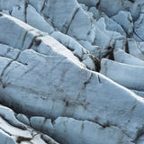 Art of nature 019 Walldecoration Wandkraft 118x70 cm