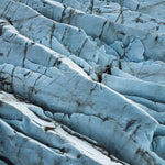 Art of nature 019 Walldecoration Wandkraft 74x74 cm