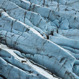 Art of nature 019 Walldecoration Wandkraft 74x74 cm