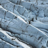 Art of nature 019 Walldecoration Wandkraft 48x98 cm