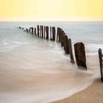 Art of Nature 040 Walldecoration Wandkraft 98x48 cm