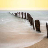 Art of Nature 040 Walldecoration Wandkraft 98x48 cm