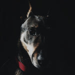 Faces 015 Walldecoration Wandkraft 118x70 cm