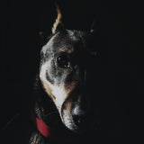 Faces 015 Walldecoration Wandkraft 118x70 cm