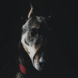 Faces 015 Walldecoration Wandkraft 74x74 cm