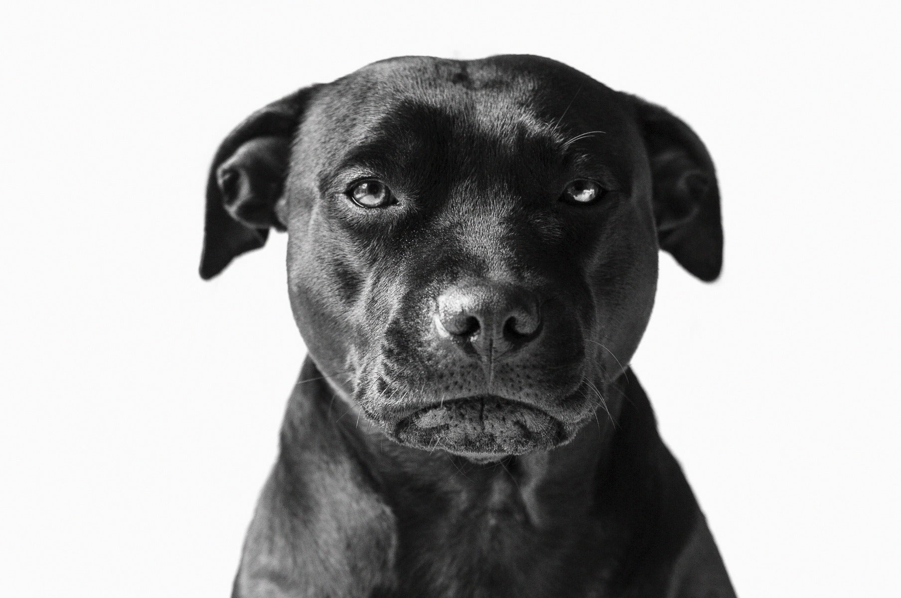 Faces 019 (Outlet) Walldecoration Wandkraft