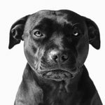 Faces 019 (Outlet) Walldecoration Wandkraft