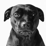 Faces 019 (Outlet) Walldecoration Wandkraft