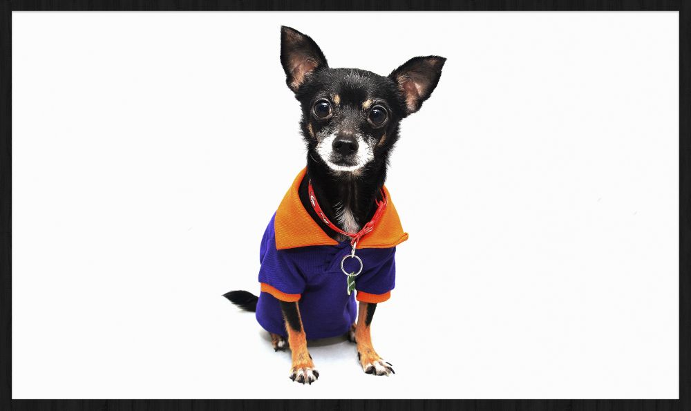 Faces 021 Walldecoration Wandkraft 118x70 cm