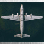 Heritage 014 Walldecoration Wandkraft 118x70 cm