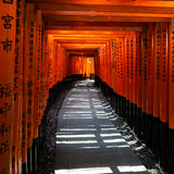 Land of the rising sun 032 Walldecoration Wandkraft 98x148 cm