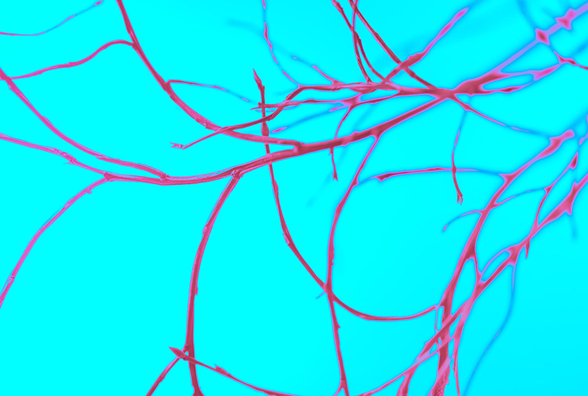 Magenta Fever 019 Walldecoration Wandkraft Default Title