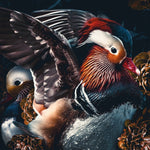 Mandarin Ducks Walldecoration Wandkraft 70x118 cm