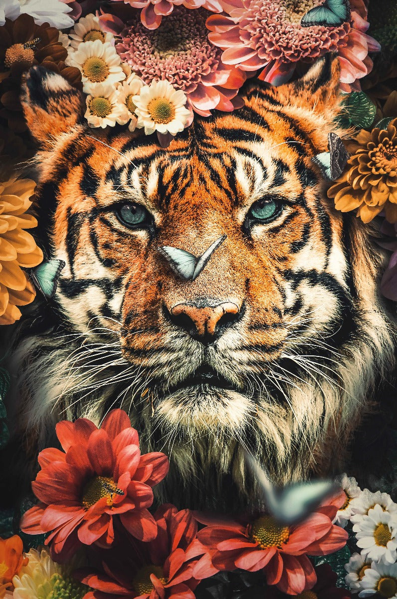 Tiger Walldecoration Wandkraft 70x118 cm