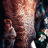 Elephant Walldecoration Wandkraft 70x118 cm